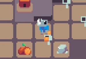 Rhino Express Delivery Puzzle